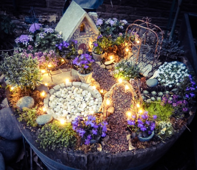 Make a little magic using solar wire LED twinkle lights in your fairy garden. Instructions and recommended plants are also included.