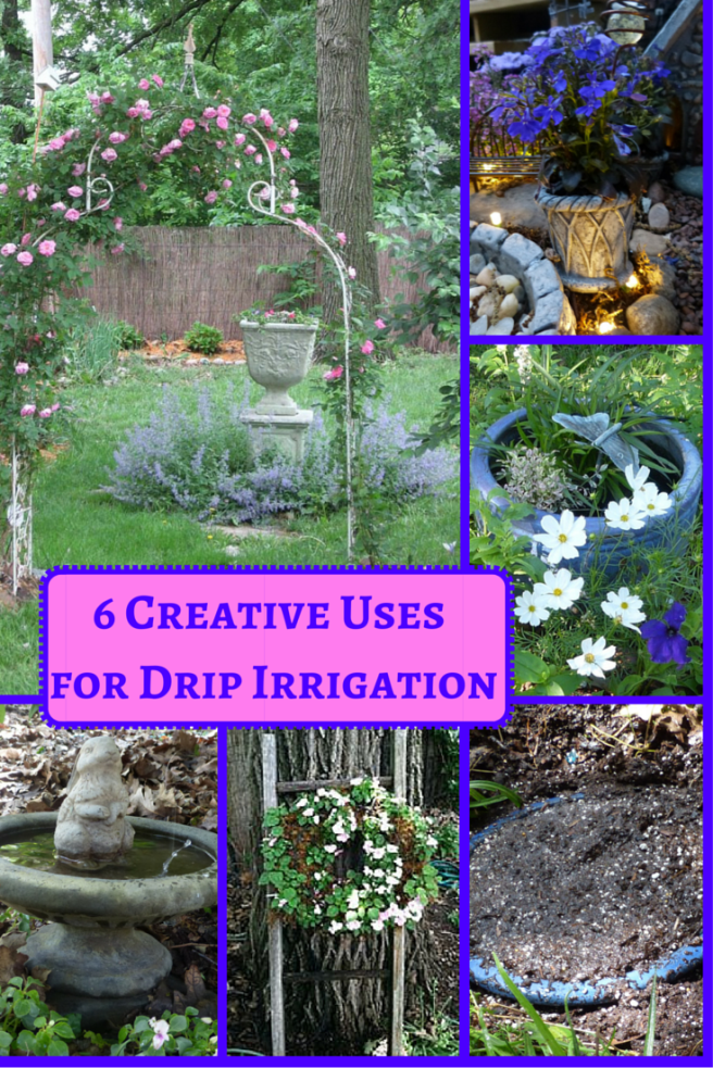 6 Creative Uses for Drip Irrigation