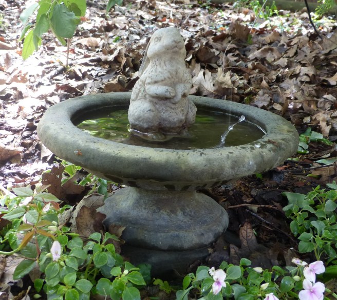 bunny in birdbath with drip emitter in tree overhead