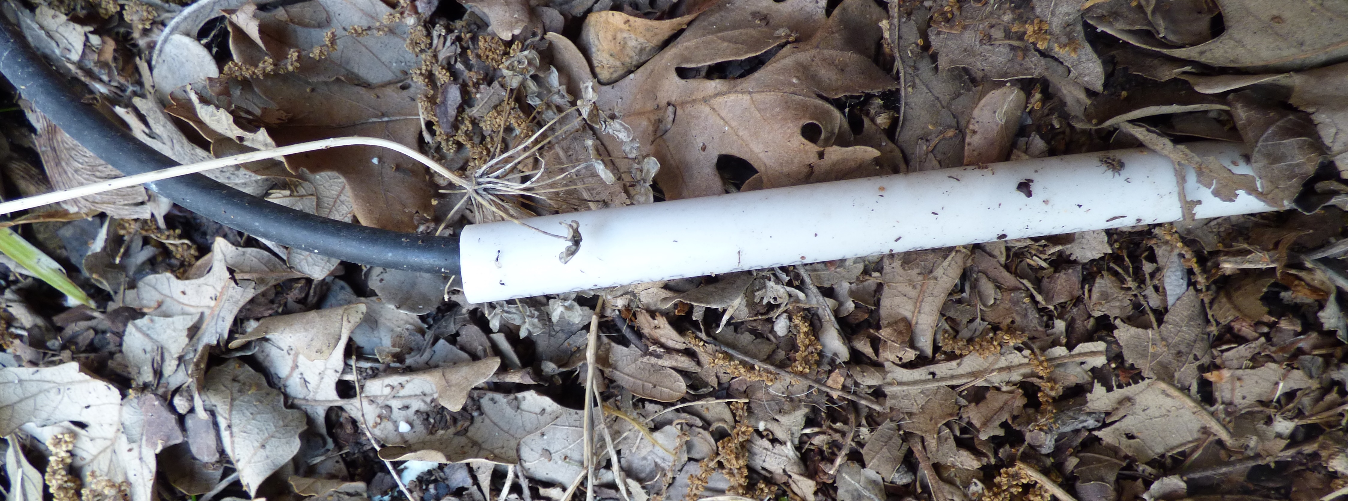 PVC and drip tubing in bed and about to go underground