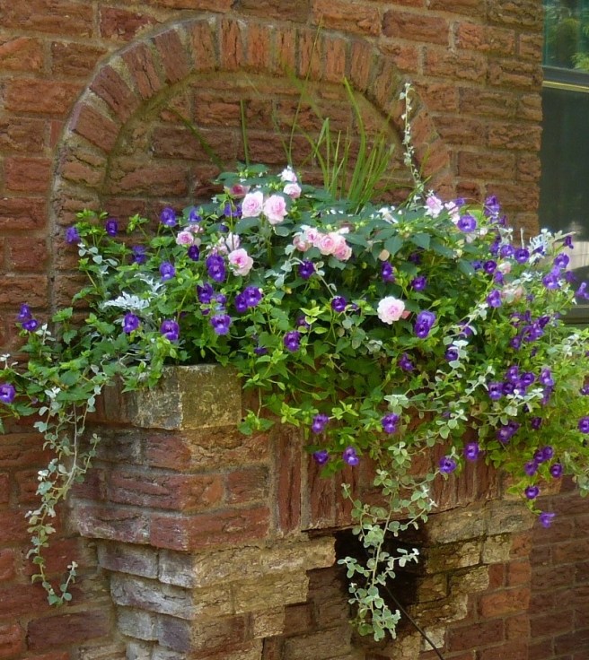 Torenia and Double Impatiens in a Brick planter